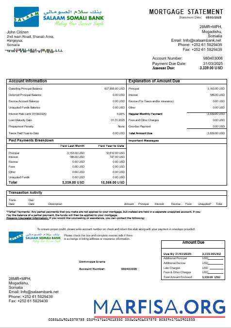 Realistic Somali Salaam Somali bank mortgage statement in Word and PDF formats download for verification